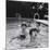 Paul McCartney, George Harrison, John Lennon and Ringo Starr Taking a Dip in a Swimming Pool-null-Mounted Premium Photographic Print