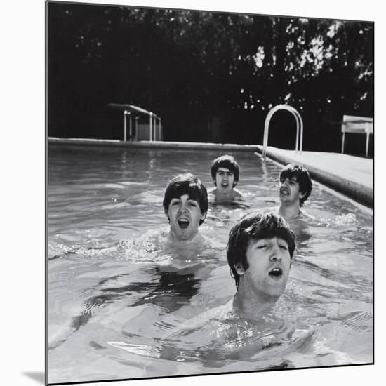 Paul McCartney, George Harrison, John Lennon and Ringo Starr Taking a Dip in a Swimming Pool-null-Mounted Premium Photographic Print