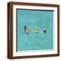 Brown Frame