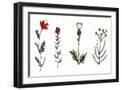 Black Frame