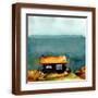 Brown Frame