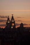 View to City of Liverpool from River Mersey, Liverpool, Merseyside, England, UK-Paul McMullin-Stretched Canvas