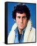 Paul Michael Glaser, Starsky and Hutch (1975)-null-Framed Stretched Canvas