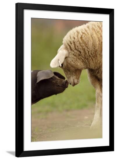Photographic Print, , large