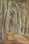 'Savernake Forest', 1935-Paul Nash-Giclee Print