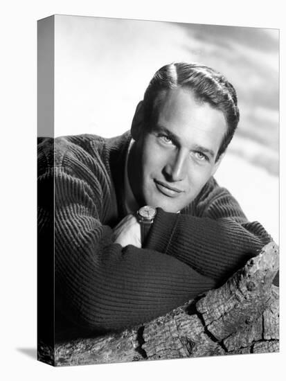 Paul Newman, 1957-null-Stretched Canvas