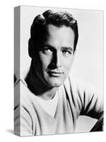 Paul Newman, 1957-null-Stretched Canvas