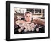 Paul Newman. "Cool Hand Luke" [1967], Directed by Stuart Rosenberg.-null-Framed Photographic Print