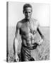 Paul Newman-null-Stretched Canvas