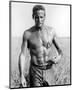 Paul Newman-null-Mounted Photo