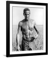 Paul Newman-null-Framed Photo