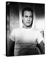 Paul Newman-null-Stretched Canvas