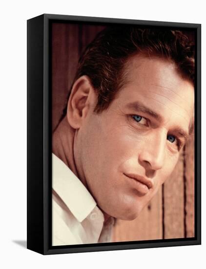 Paul Newman-null-Framed Stretched Canvas