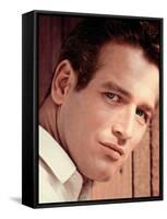 Paul Newman-null-Framed Stretched Canvas