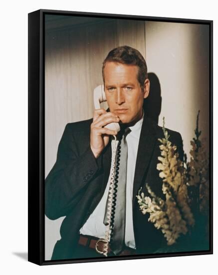 Paul Newman-null-Framed Stretched Canvas