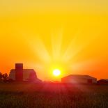 Brilliant Orange Sunrise over a Corn Field in Iowa, and Barn with a Bright Yellow Sun on a Cool Fal-Paul Orr-Photographic Print