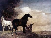 Potter: Horses, 1649-Paul Potter-Framed Stretched Canvas