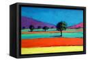 Canvas Black