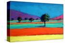 Stretched Canvas