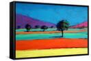 Canvas Black