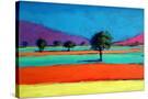 Stretched Canvas