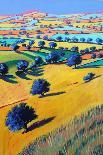 Swineyard Hill (acrylic on canvas, 2021)-Paul Powis-Giclee Print