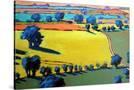 Stretched Canvas