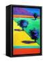 Canvas Black