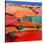 Stretched Canvas