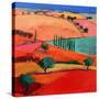 Stretched Canvas