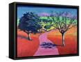 Canvas Black