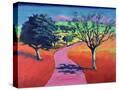 Stretched Canvas