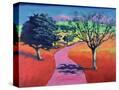 Stretched Canvas