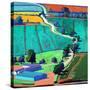 Stretched Canvas