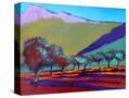 Stretched Canvas