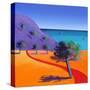Stretched Canvas