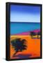 Essential Black