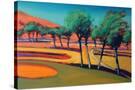 Stretched Canvas