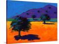 Stretched Canvas