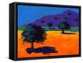 Canvas Black