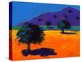 Stretched Canvas