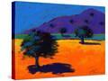 Stretched Canvas