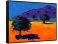 Canvas Black