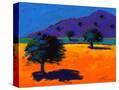 Stretched Canvas