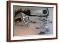 Brown Frame