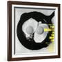 Paul Quinichette - On the Sunny Side-null-Framed Art Print