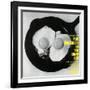 Paul Quinichette - On the Sunny Side-null-Framed Art Print