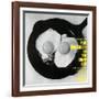 Paul Quinichette - On the Sunny Side-null-Framed Art Print