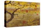Stretched Canvas