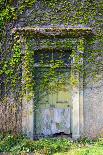 Vegetation and Ivy Growing over Empty Hall Near Leeds Yorkshire Uk-Paul Ridsdale-Framed Stretched Canvas